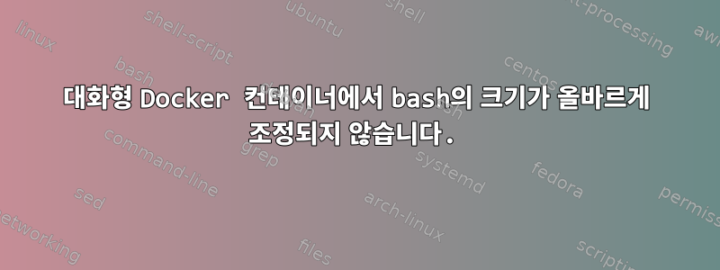 대화형 Docker 컨테이너에서 bash의 크기가 올바르게 조정되지 않습니다.