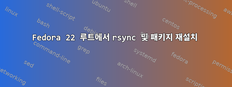 Fedora 22 루트에서 rsync 및 패키지 재설치