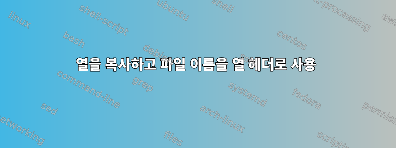 열을 복사하고 파일 이름을 열 헤더로 사용