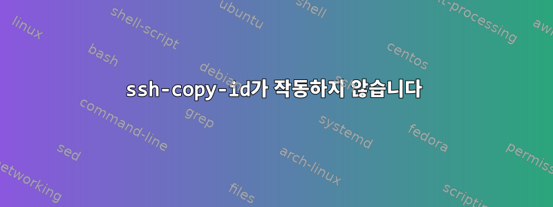 ssh-copy-id가 작동하지 않습니다