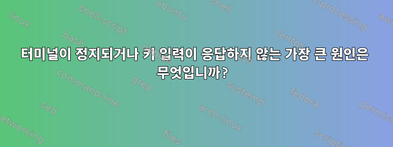 터미널이 정지되거나 키 입력이 응답하지 않는 가장 큰 원인은 무엇입니까?