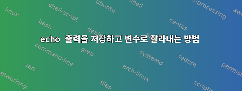 echo 출력을 저장하고 변수로 잘라내는 방법