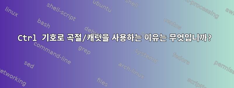 Ctrl 기호로 곡절/캐럿을 사용하는 이유는 무엇입니까?