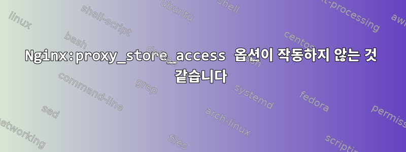 Nginx:proxy_store_access 옵션이 작동하지 않는 것 같습니다