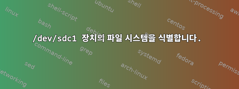 /dev/sdc1 장치의 파일 시스템을 식별합니다.