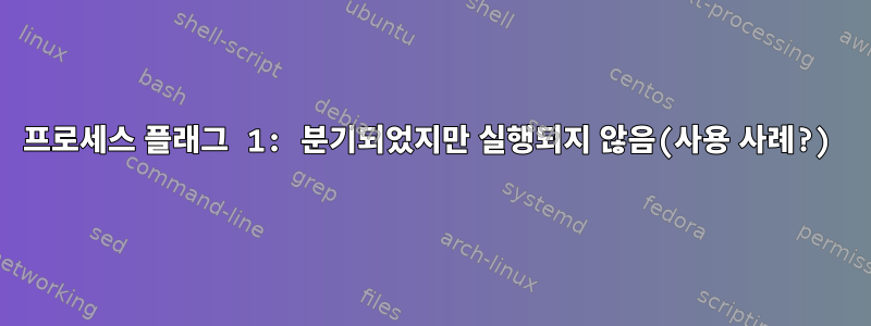 프로세스 플래그 1: 분기되었지만 실행되지 않음(사용 사례?)