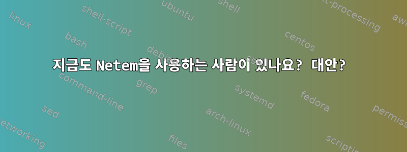 지금도 Netem을 사용하는 사람이 있나요? 대안?