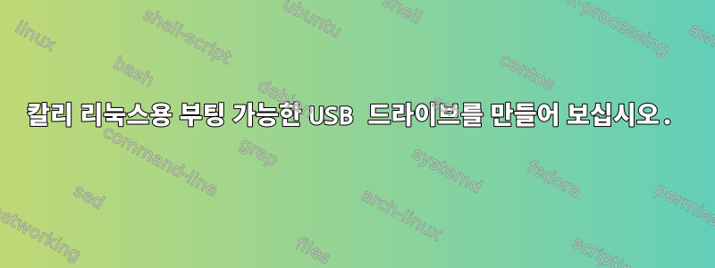 칼리 리눅스용 부팅 가능한 USB 드라이브를 만들어 보십시오.