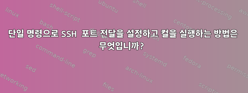 단일 명령으로 SSH 포트 전달을 설정하고 컬을 실행하는 방법은 무엇입니까?