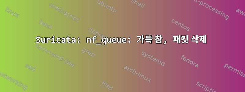 Suricata: nf_queue: 가득 참, 패킷 삭제