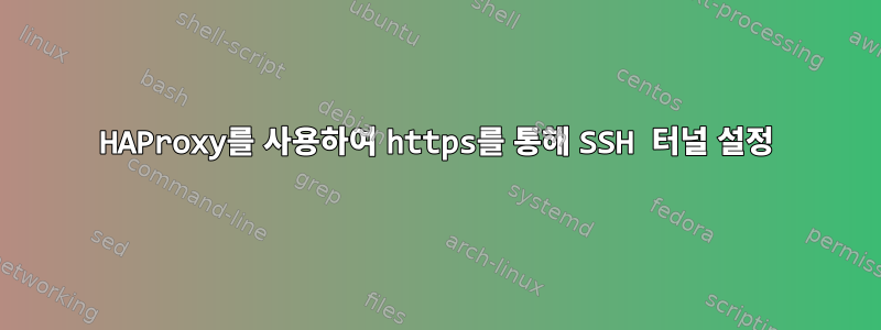 HAProxy를 사용하여 https를 통해 SSH 터널 설정