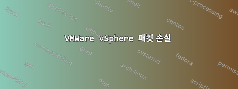 VMWare vSphere 패킷 손실