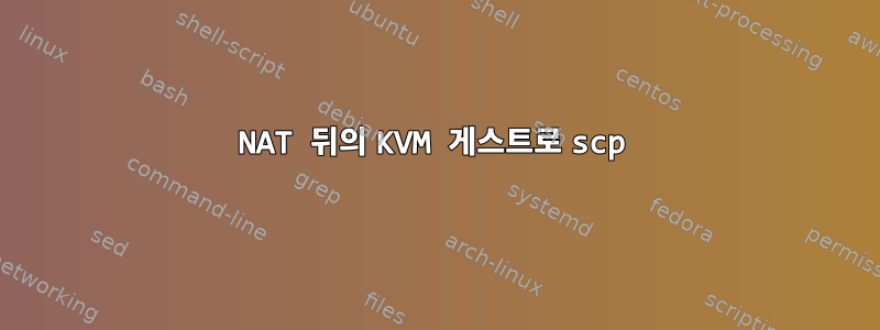 NAT 뒤의 KVM 게스트로 scp