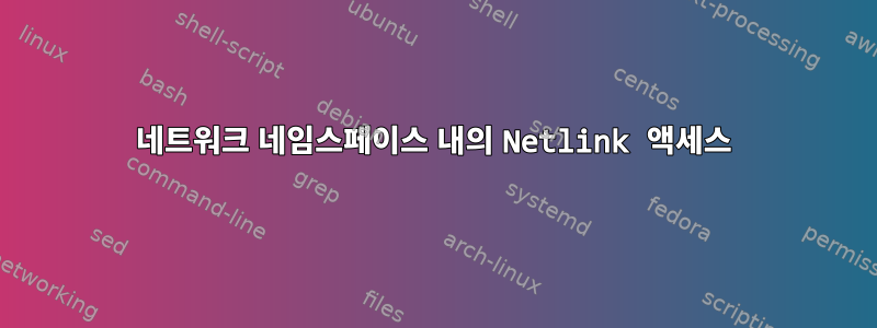 네트워크 네임스페이스 내의 Netlink 액세스