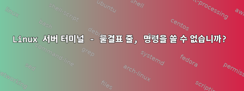 Linux 서버 터미널 - 물결표 줄, 명령을 쓸 수 없습니까?