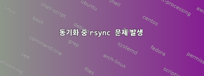 동기화 중 rsync 문제 발생