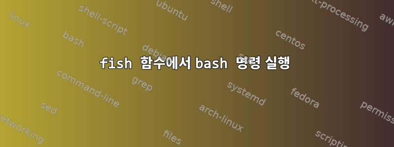 fish 함수에서 bash 명령 실행