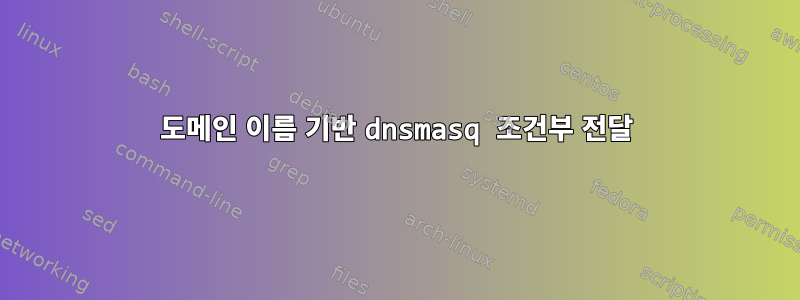 도메인 이름 기반 dnsmasq 조건부 전달