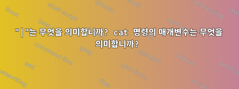 "|"는 무엇을 의미합니까? cat 명령의 매개변수는 무엇을 의미합니까?