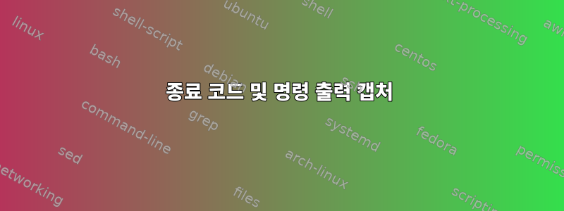 종료 코드 및 명령 출력 캡처