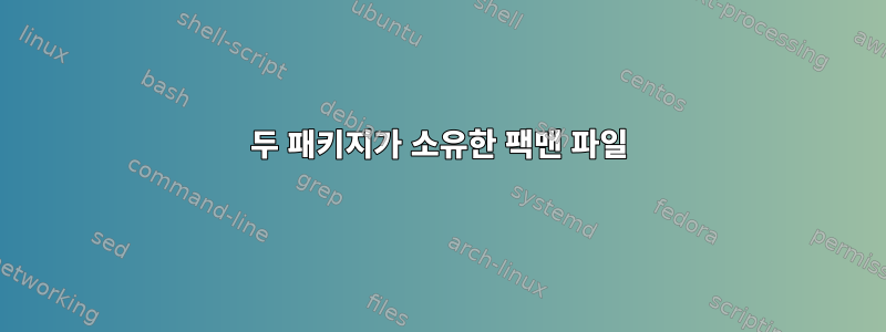 두 패키지가 소유한 팩맨 파일