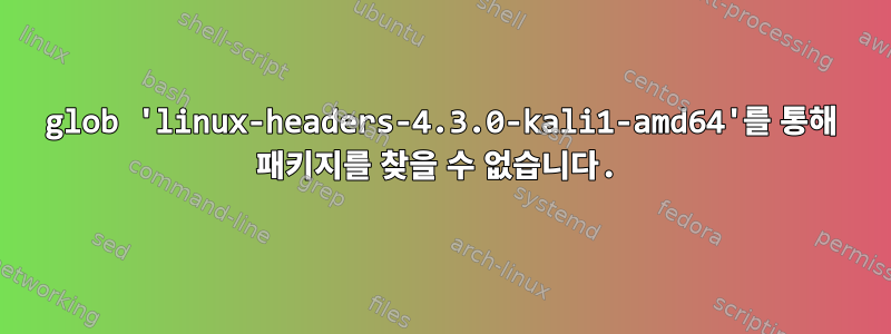 glob 'linux-headers-4.3.0-kali1-amd64'를 통해 패키지를 찾을 수 없습니다.