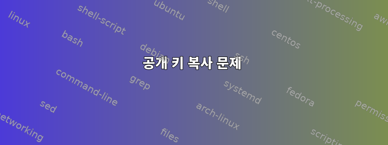 공개 키 복사 문제