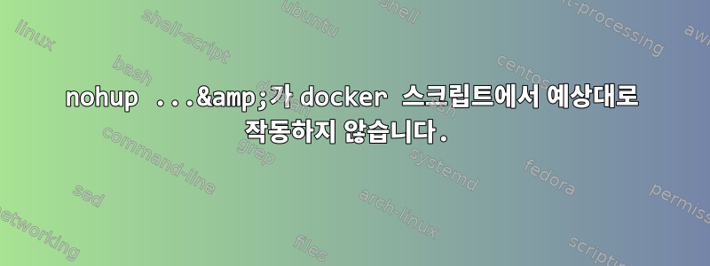 nohup ...&amp;가 docker 스크립트에서 예상대로 작동하지 않습니다.