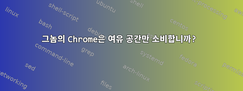 그놈의 Chrome은 여유 공간만 소비합니까?