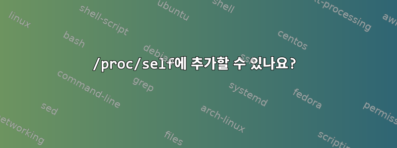 /proc/self에 추가할 수 있나요?