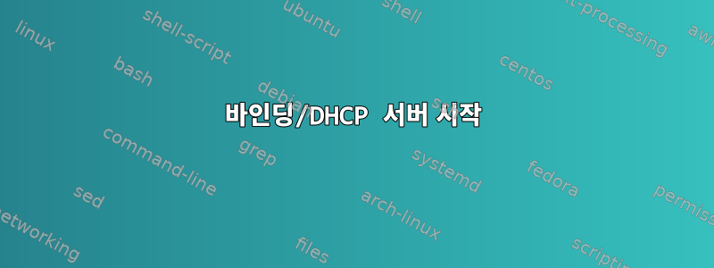 바인딩/DHCP 서버 시작