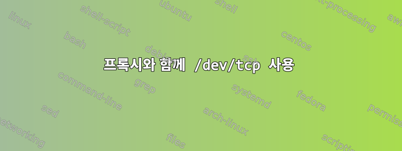 프록시와 함께 /dev/tcp 사용