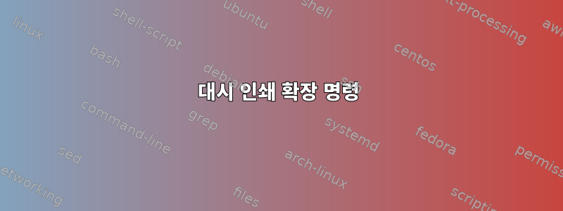 대시 인쇄 확장 명령