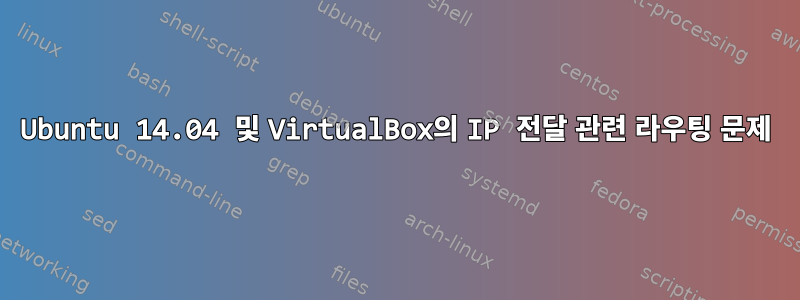 Ubuntu 14.04 및 VirtualBox의 IP 전달 관련 라우팅 문제