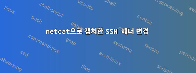 netcat으로 캡처한 SSH 배너 변경