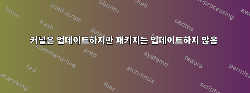 커널은 업데이트하지만 패키지는 업데이트하지 않음