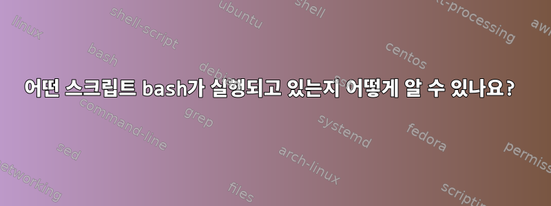 어떤 스크립트 bash가 실행되고 있는지 어떻게 알 수 있나요?