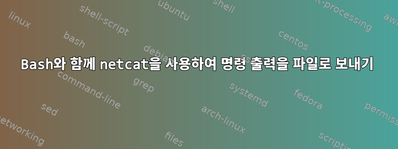 Bash와 함께 netcat을 사용하여 명령 출력을 파일로 보내기