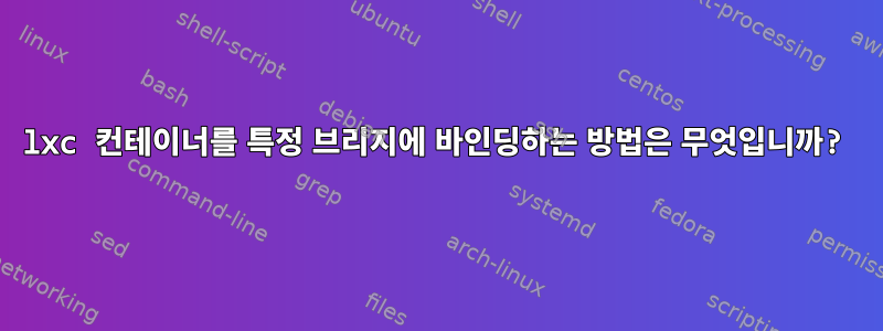 lxc 컨테이너를 특정 브리지에 바인딩하는 방법은 무엇입니까?