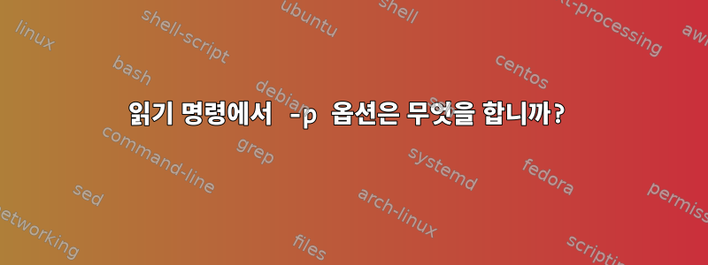 읽기 명령에서 -p 옵션은 무엇을 합니까?