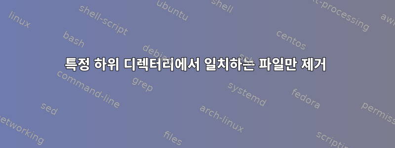 특정 하위 디렉터리에서 일치하는 파일만 제거