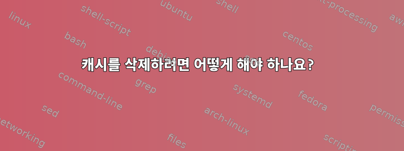 캐시를 삭제하려면 어떻게 해야 하나요?