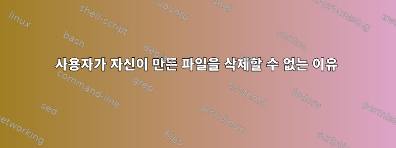 사용자가 자신이 만든 파일을 삭제할 수 없는 이유