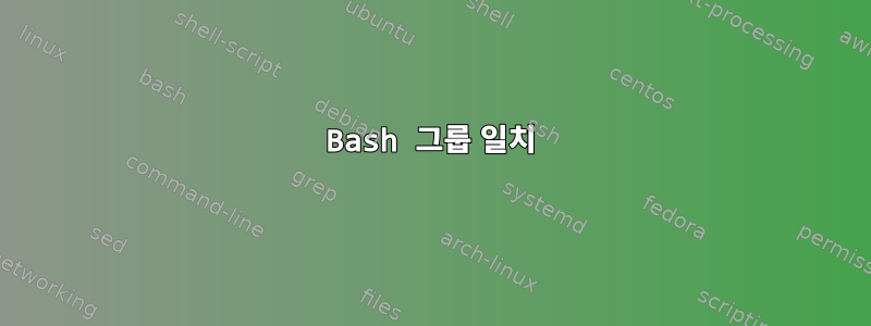 Bash 그룹 일치