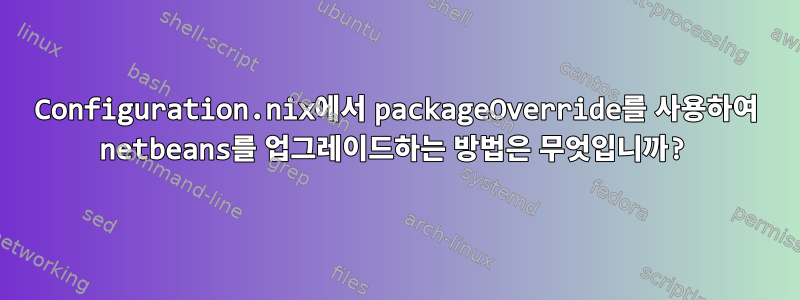 Configuration.nix에서 packageOverride를 사용하여 netbeans를 업그레이드하는 방법은 무엇입니까?