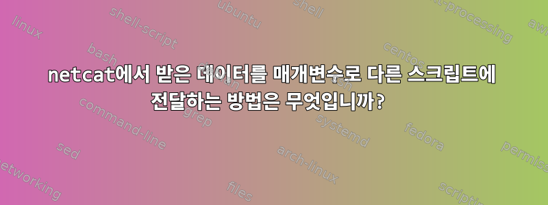 netcat에서 받은 데이터를 매개변수로 다른 스크립트에 전달하는 방법은 무엇입니까?