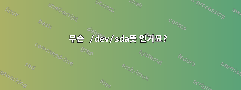 무슨 /dev/sda뜻 인가요?