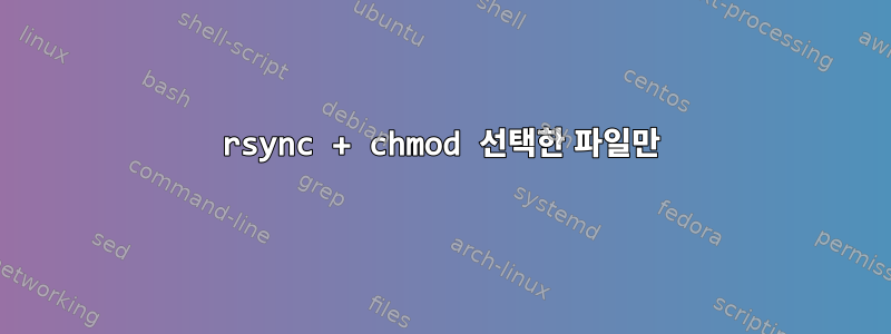 rsync + chmod 선택한 파일만