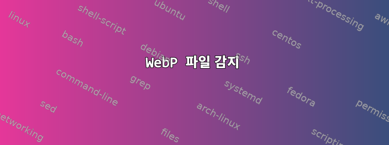 WebP 파일 감지