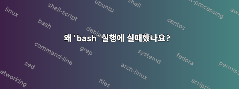 왜'bash`실행에 실패했나요?